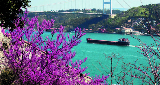 The Arguvan Bloom in Istanbul – music, melancholy, and humanity